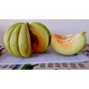 Price: €1.95 - Greece Melon - Green Banana Seeds - Seeds Gallery