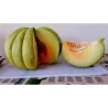 Greece Melon - Green Banana Seeds