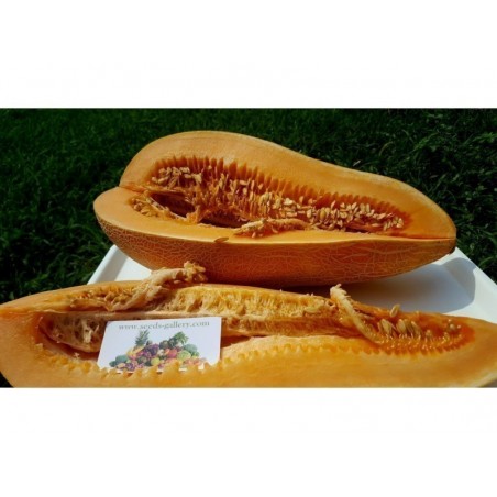 Price: €1.95 - Greek Traditional Giant Melon Kalambaka Seeds - Seeds Gallery