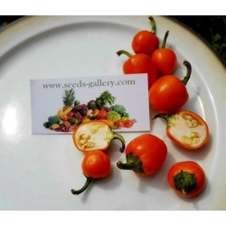 Price: €2.5 - Orange Cherry Chili Seeds - Seeds Gallery