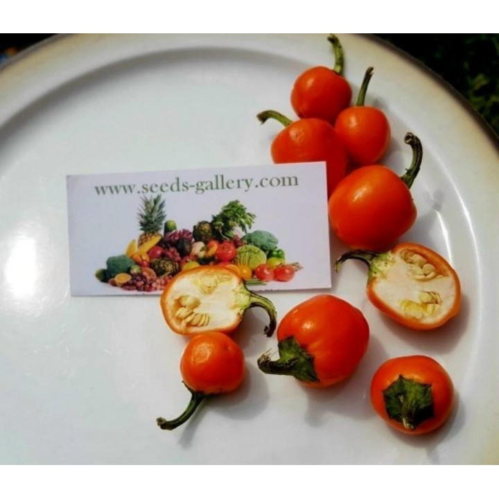 Orange Cherry Chili Seeds - 2.25