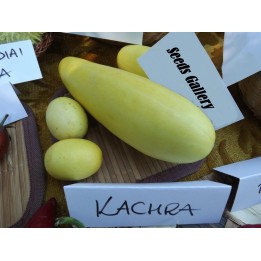 Nasiona Kachra, indyjski melon (Cucumis callosus) - 2.5