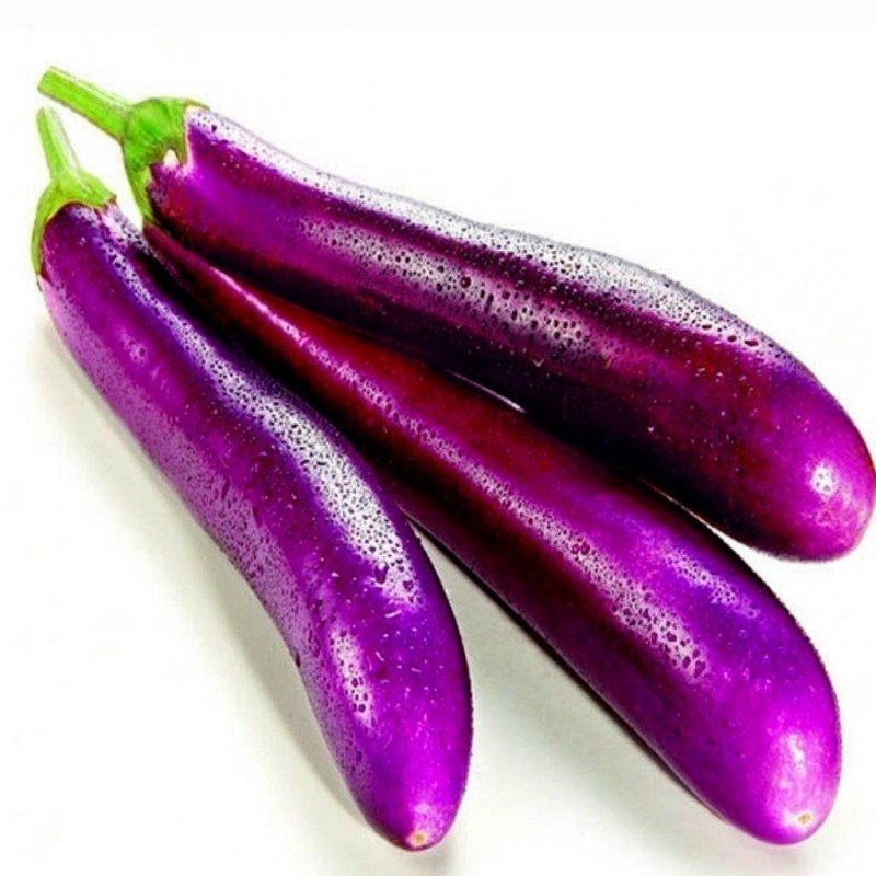 Semillas Berenjena italiana - largo de color púrpura