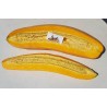 Price: €1.95 - Jättepumpa - Squash Fröer Jumbo Pink Banana - Seeds Gallery
