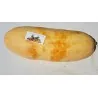 Semi di zucca Jumbo Rosa Banana