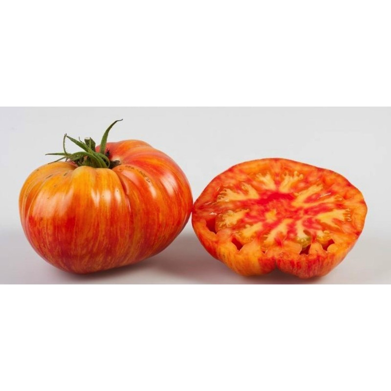 Sementes de tomate Mr Stripey