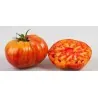 Beefsteak Tomato Seeds MR STRIPEY