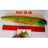 Giant Yellow Carrot Seeds