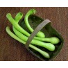 Price: €2.35 - Graines de Courge TROMBETTA DI ALBENGA - Seeds Gallery