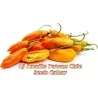 Aji Amarillo - Peruvian Chili Pepper Seeds