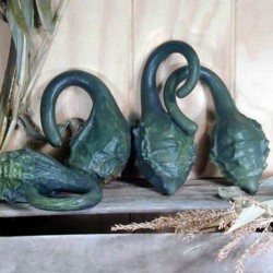 Heirloom Dinosaur Maranka Gourd Seeds - Caveman's Club Gourd