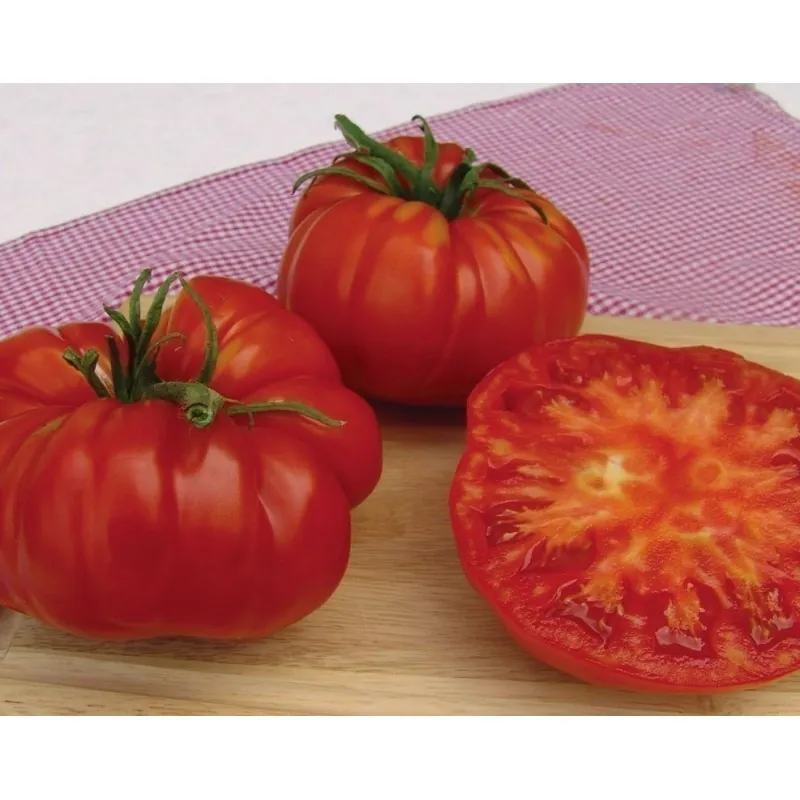 Semillas de tomate Gigante MORTGAGE LIFTER