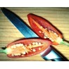 Sementes de Pimenta CALORO