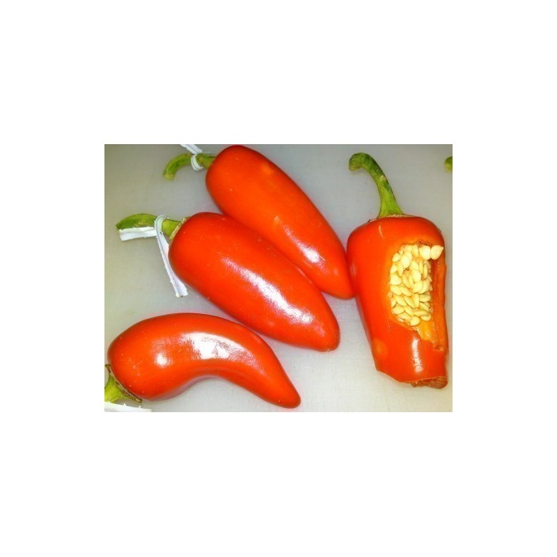 Sementes de Pimenta CALORO