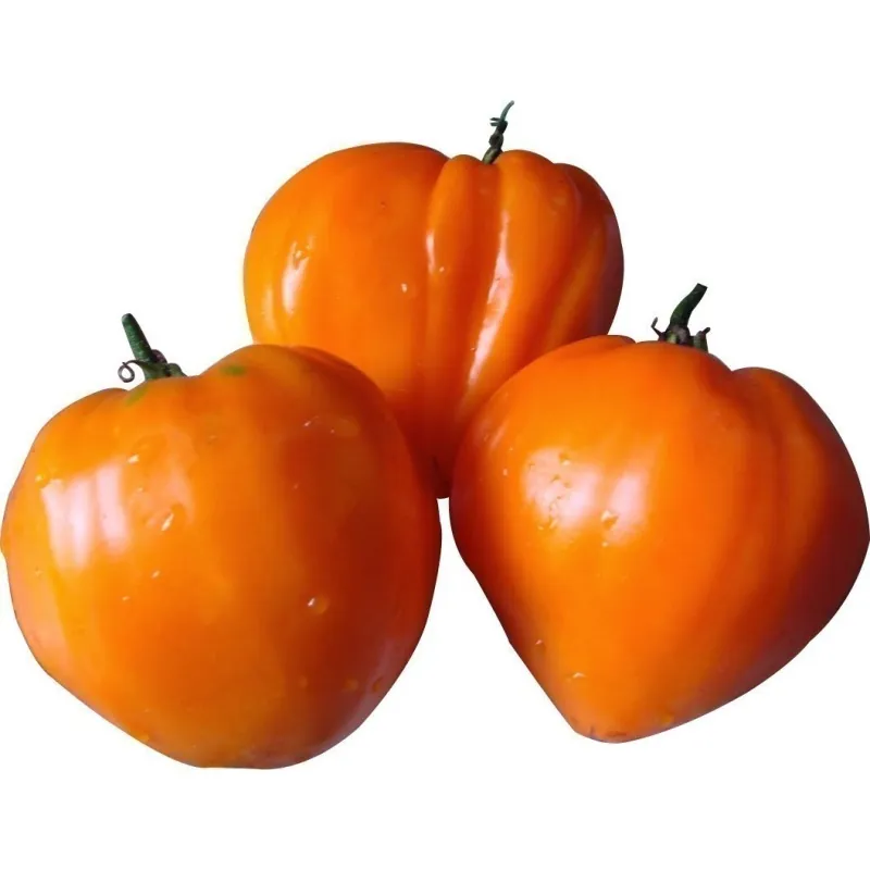 Tomat frön German Orange Strawberry