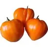 Σπόροι ντομάτας German Orange Strawberry