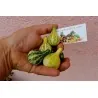 Dancing - Spinning Gourd Seeds