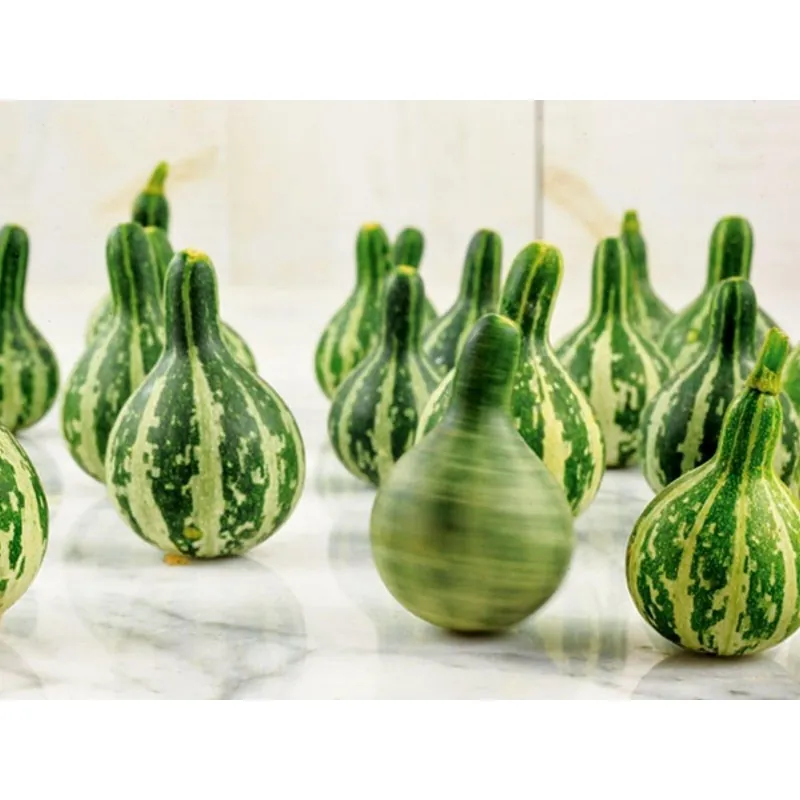 Dancing - Spinning Gourd Seeds