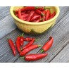 Price: €1.75 - Chilipeppar Fröer ONZA - Seeds Gallery