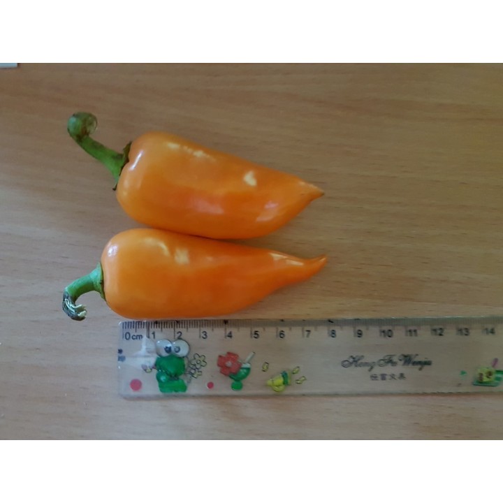 Nasiona Chili Pomarańczowej Piramidy - 1.755