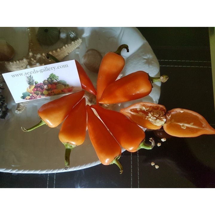 Nasiona Chili Pomarańczowej Piramidy - 1.755