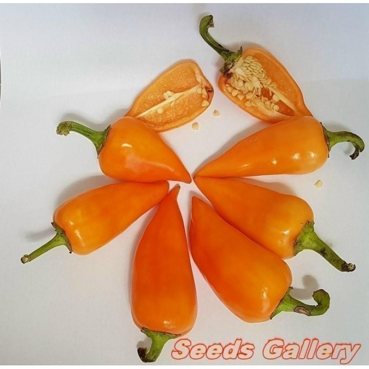 Nasiona Chili Pomarańczowej Piramidy - 1.755