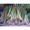 Price: €1.55 - Graines de Lemongrass - Citronnelle (Cymbopogon citratus) - 