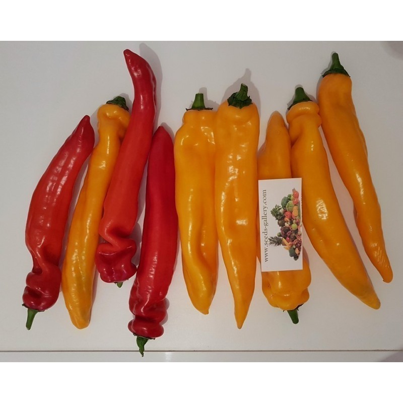 Price: €2.05 - Graines de doux Poivron Géant RAMIRO - Seeds Gallery