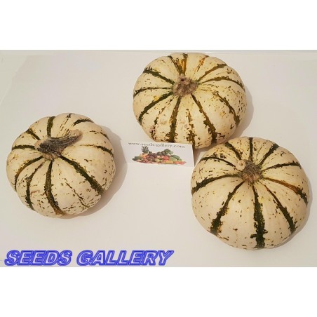 Price: €1.95 - Speise kürbis Samen LIL' PUMP-KE-MON (Mikrowellen kürbis) - Seeds Gallery
