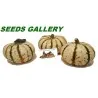 LIL' PUMP-KE-MON Pumpkin Seeds