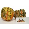 Price: €1.95 - Sementes SQUASH CARNIVAL – ABOBORA CARNAVAL - Seeds Gallery