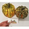 Price: €1.95 - Sementes SQUASH CARNIVAL – ABOBORA CARNAVAL - Seeds Gallery