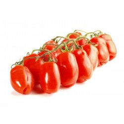 Semillas de tomate DONATELLA