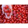 Sementes de tomate DONATELLA BIO