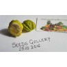 Price: €4.05 - Semillas de naranja Kiku-Daidai (Citrus canaliculata) - Seeds Gallery