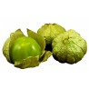 Price: €2.65 - Graines Tomatillo Vert - Toma Verde (Physalis ixocarpa) - 