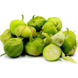 Tomatillo Verde Seeds - Physalis Ixocarpa