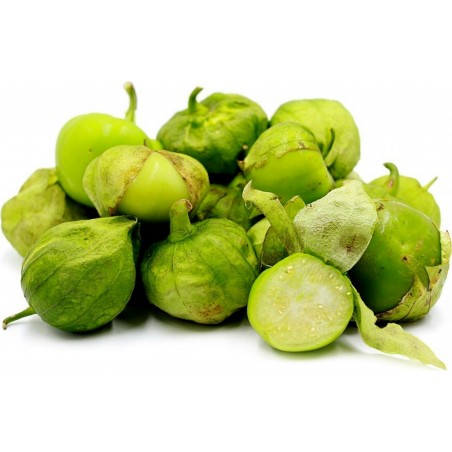 Price: €2.65 - Semillas de Tomatillo - Toma Verde (Physalis ixocarpa) -
