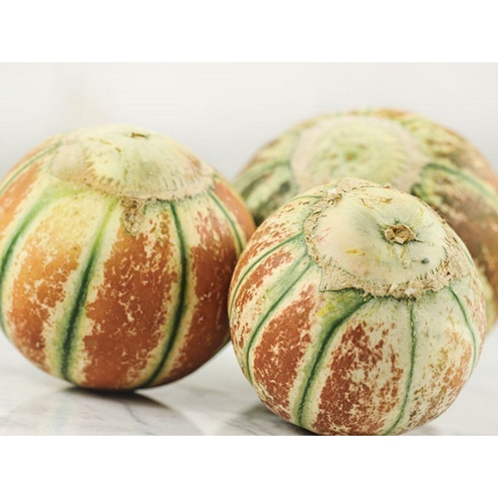 Rare Exclusive KAJARI Melon Seeds - 2.655