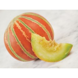 Rari - Semi di melone KAJARI