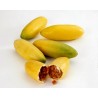 Sementes de Maracujá Banana (Passiflora mollissima)
