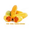 Sementes de Maracujá Banana (Passiflora mollissima)