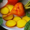 Price: €1.95 - Semi di barbabietola d'oro Golden Detroit - 