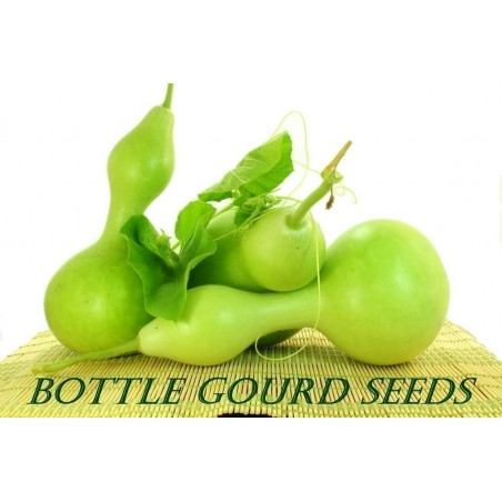 Price: €2.1 - Semi di Zucca Bottiglia (Lagenaria siceraria) - Seeds Gallery