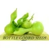 Graines de grande courge bouteille