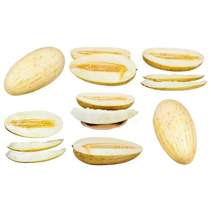 Price: €2.95 - Mirzachul, Gulabi, Torpedo Melon Seeds - Seeds Gallery