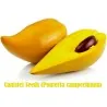 Semillas de Canistel, Zapote Amarillo o Borracho