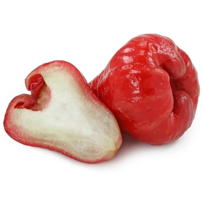 Semillas de Manzana de Java