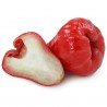 Graines de Jamalac ou Jambose | 4,50 €