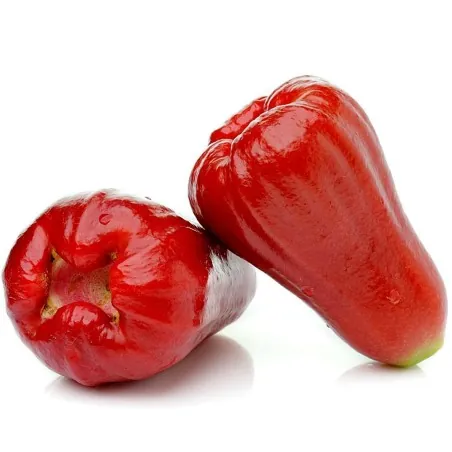 Semillas de Manzana de Java